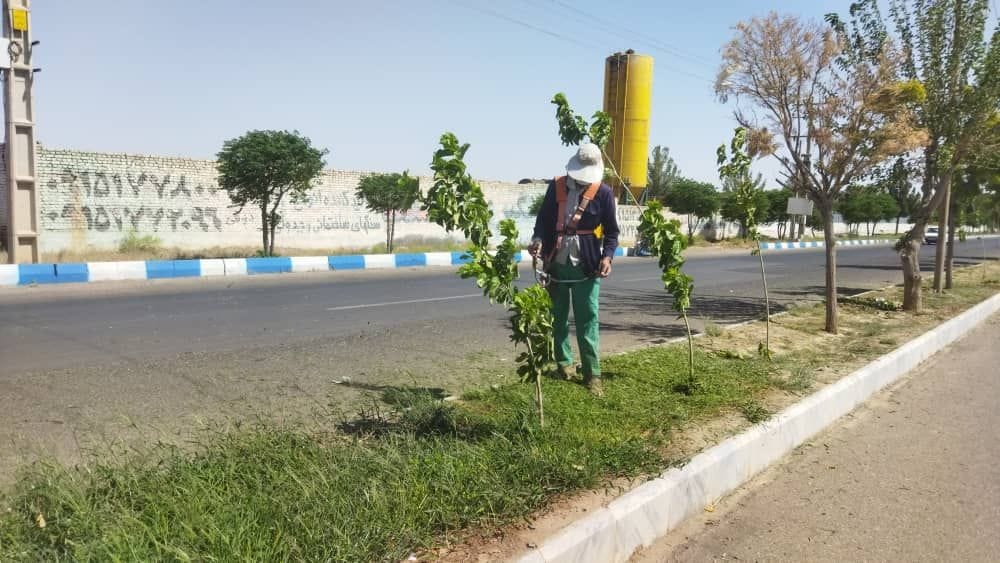  اجرای عملیات به زراعی در فضای سبز بلوار آیت الله مدنی