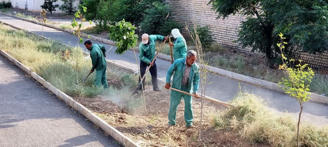 ادامه عملیات باغبانی بدون وقفه در سطح شهر 