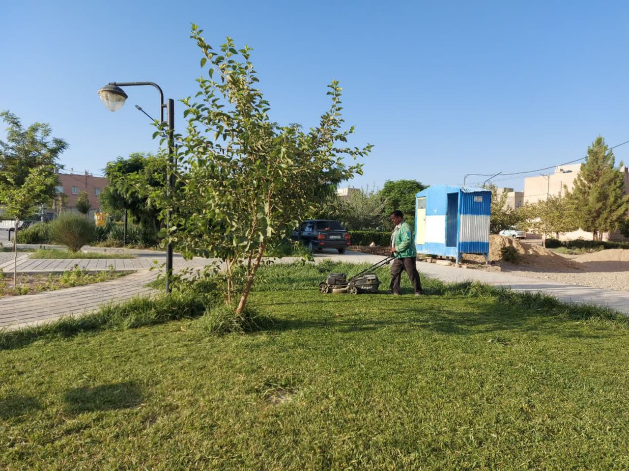 چمن زنی و پیرایش تابستانه فضای سبز سطح شهر 