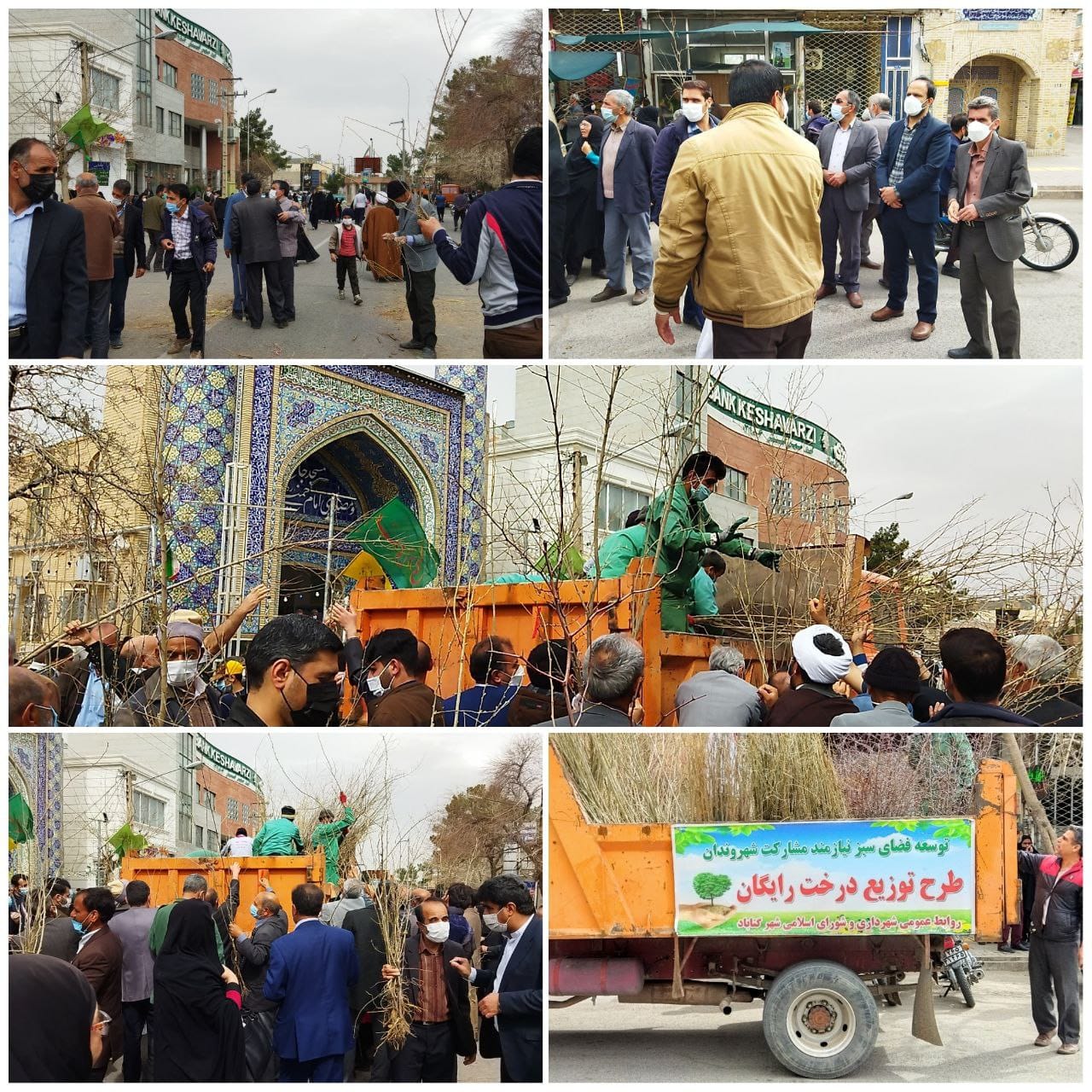  توزیع ۲ هزار نهال مثمر رایگان توسط شهرداری گناباد