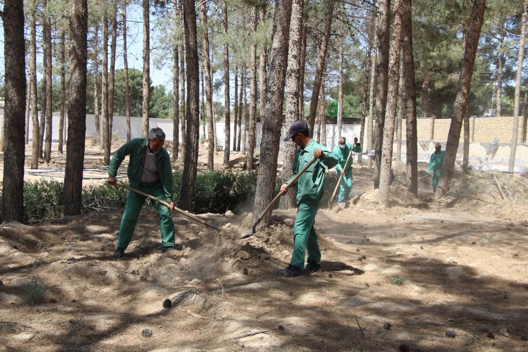 پارک بانوان تکمیل در آستانه تکمیل شدن