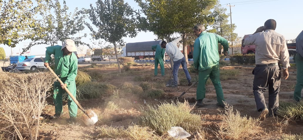 آغاز عملیات خاکریزی،تسطیح و بستر سازی کشت فضای سبز در میدان بجستان