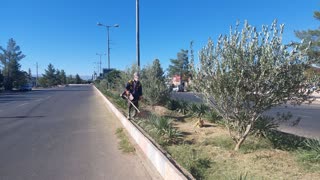 تداوم حذف علف های هرز از بستر فضای سبز