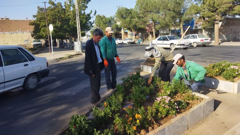  لچکی بلوار پرستار در حال گلکاری