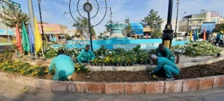 کاشت گل و گیاه توسط واحد سبز شهرداری 