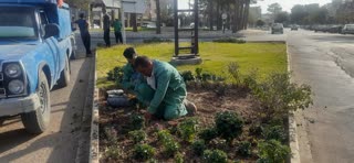  کاشت بیش از ۷هزار بوته گل در بستر فضای سبز 