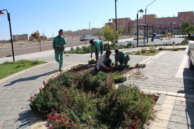 عملیات گل کاری پاییزه با انواع نشاء گل فصلی در فضای سبز شهر
