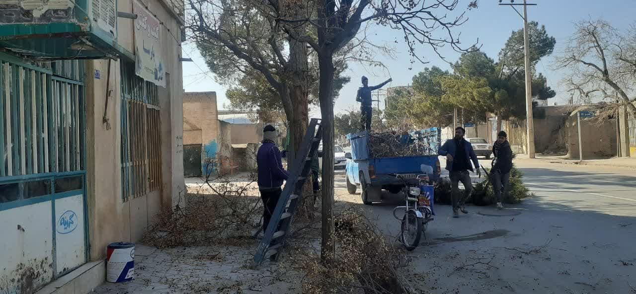  درختان معابر نوغاب اصلاح شد