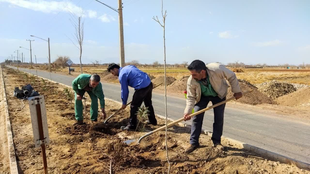 کاشت گل و گیاه در ادامه بلوار قصبه 