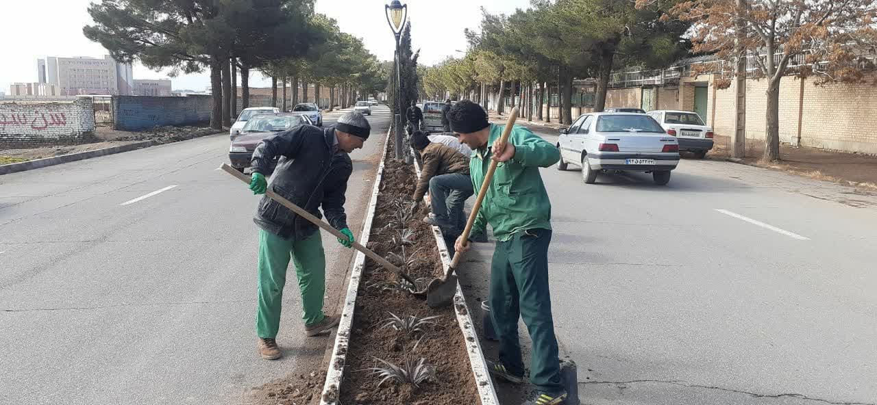  به استقبال از بهار میرویم...