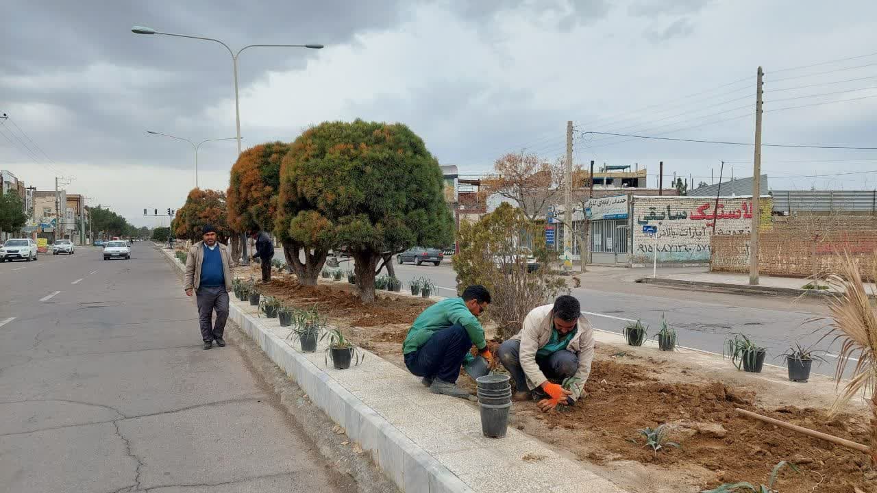  از میدان بسیج تا چهارراه سردار دلها گل کاری شد