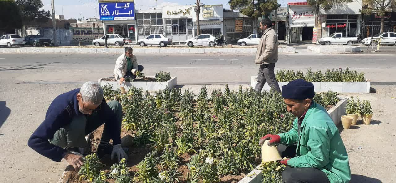 استقبال از بهار با گلکاری در میادین