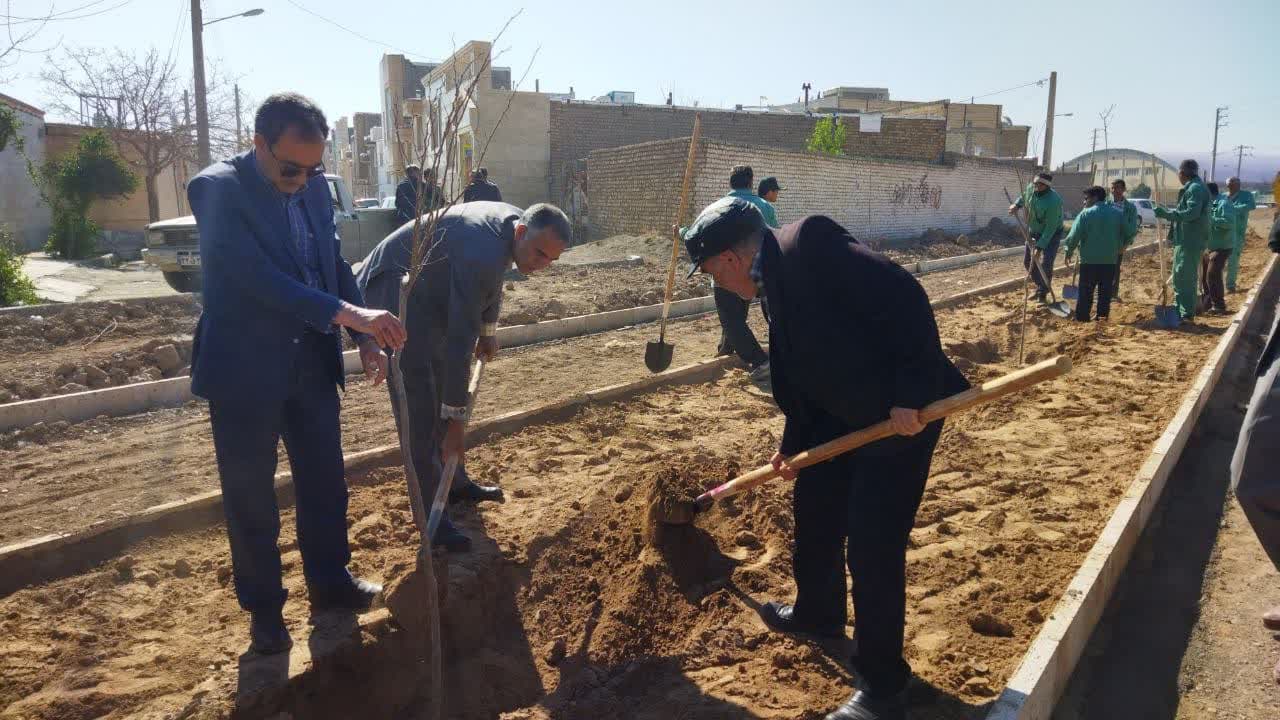  لاین حاشیه بلوار شهید غیور اصلی درختکاری شد