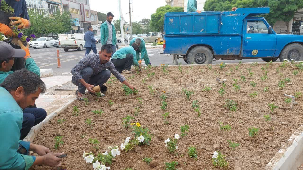  ادامه کاشت گل های بهاری در میادین