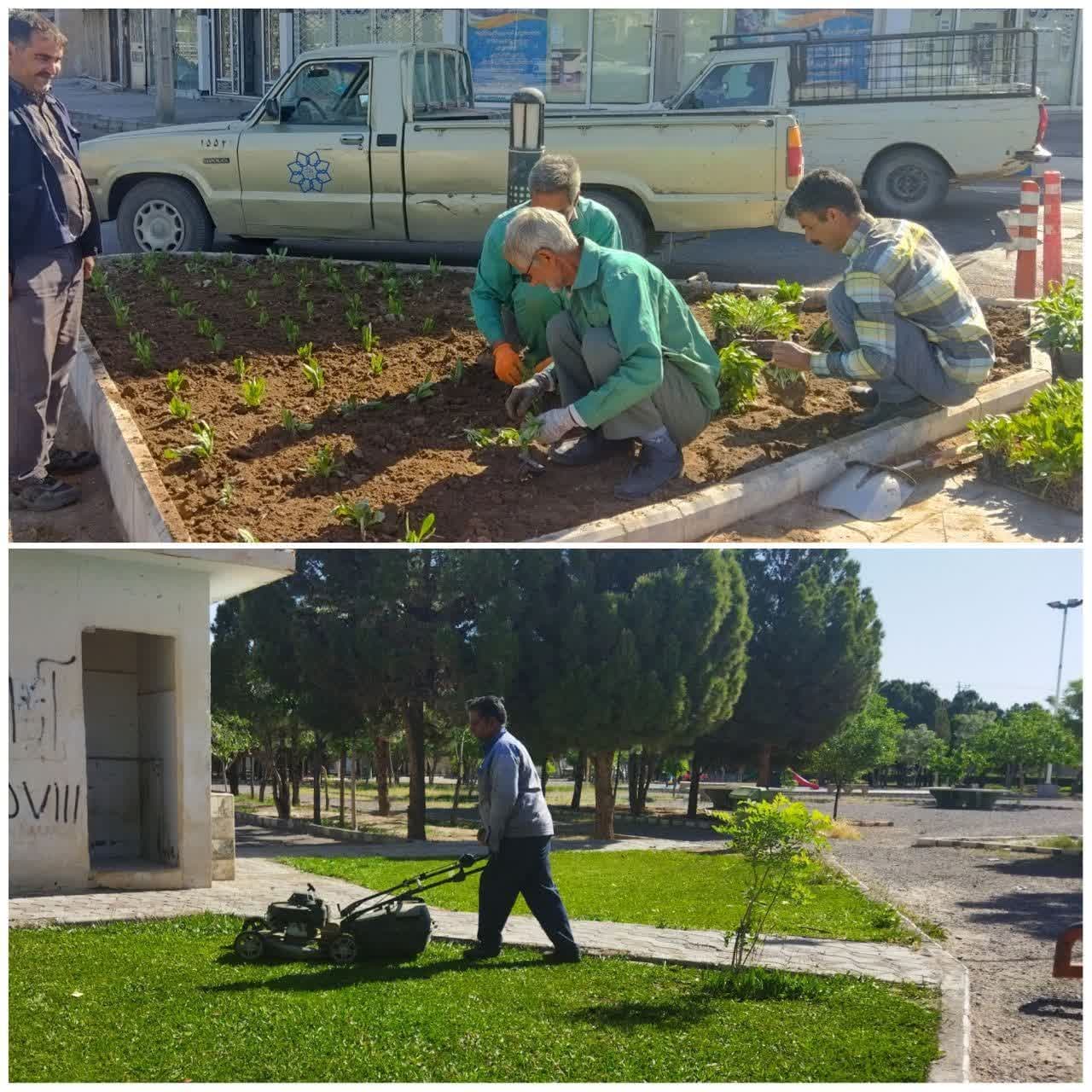 گل کاری در چهارراه دادگستری