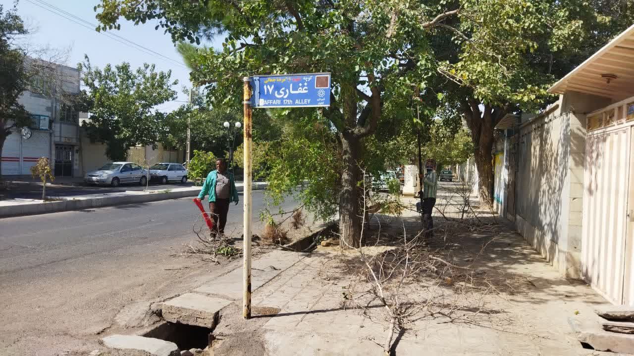 شاخه های خشک درختان اصلاح میشود