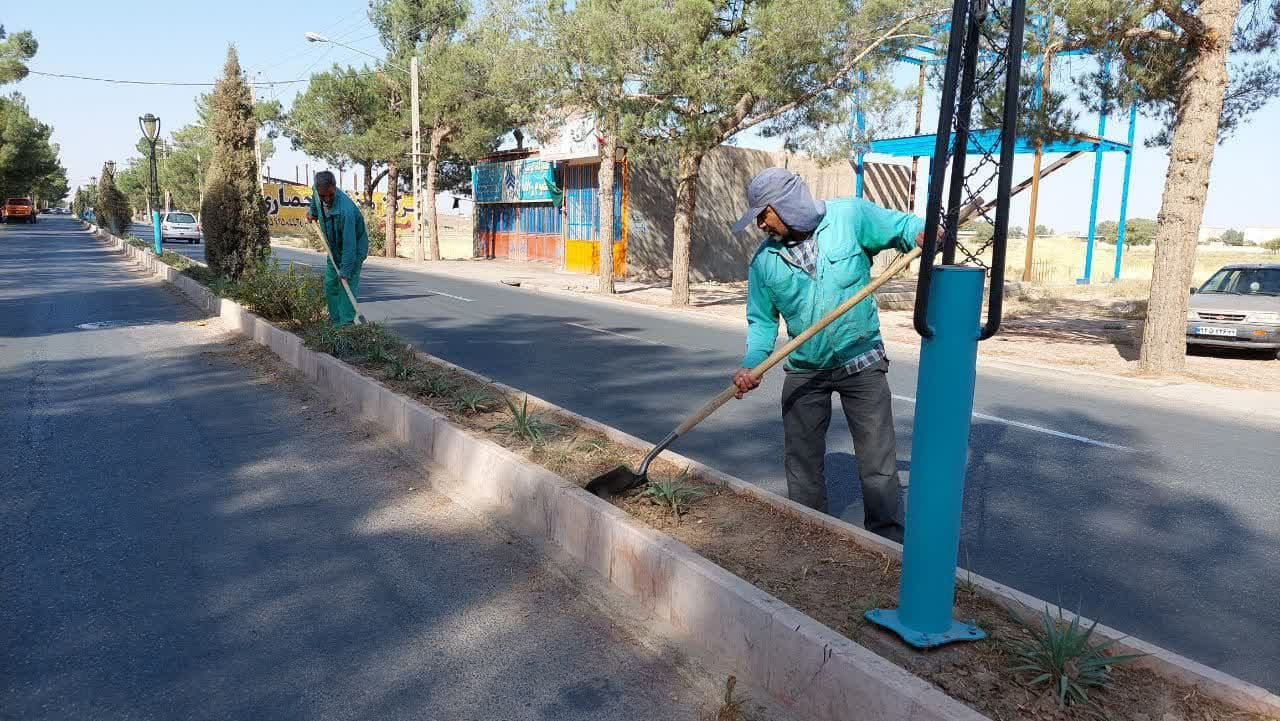  علف های هرز آیلند خیابان سعدی ریشه کن شد