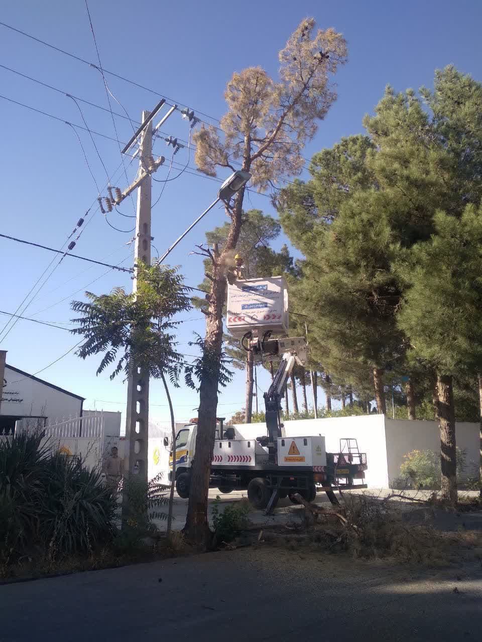 عملیات رفع تداخل سرشاخه های درختان با شبکه برق درحال انجام است