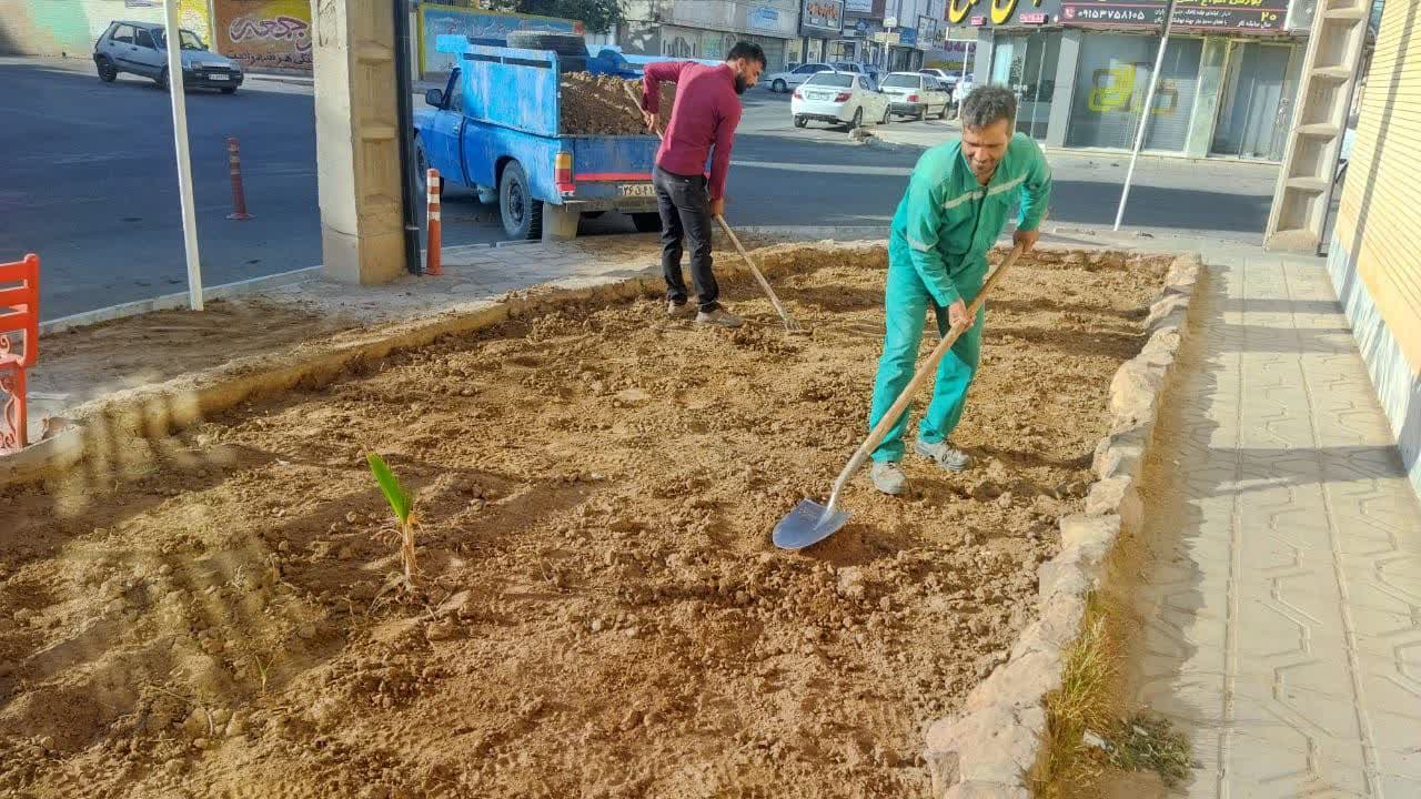  آماده سازی میادین برای کاشت گل های پاییزه