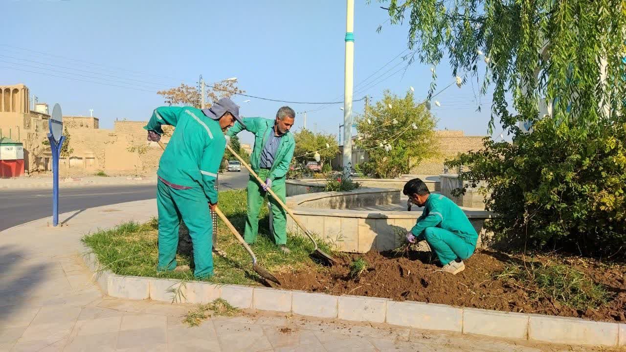  ادامه بسترسازی میادین برای کاشت گل های پاییزه 