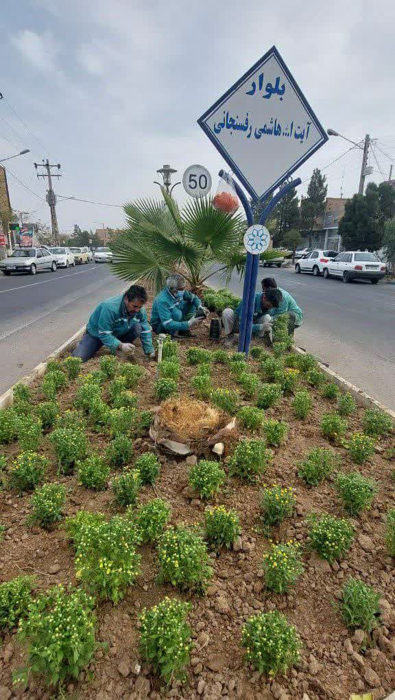  بلوار آیت الله هاشمی رفسنجانی گل کاری شد