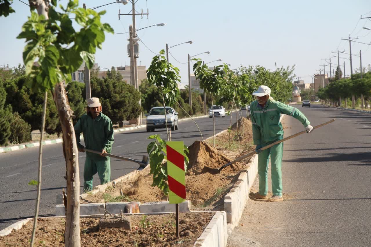 آماده سازی بستر و توسعه فضای سبز بلوارها