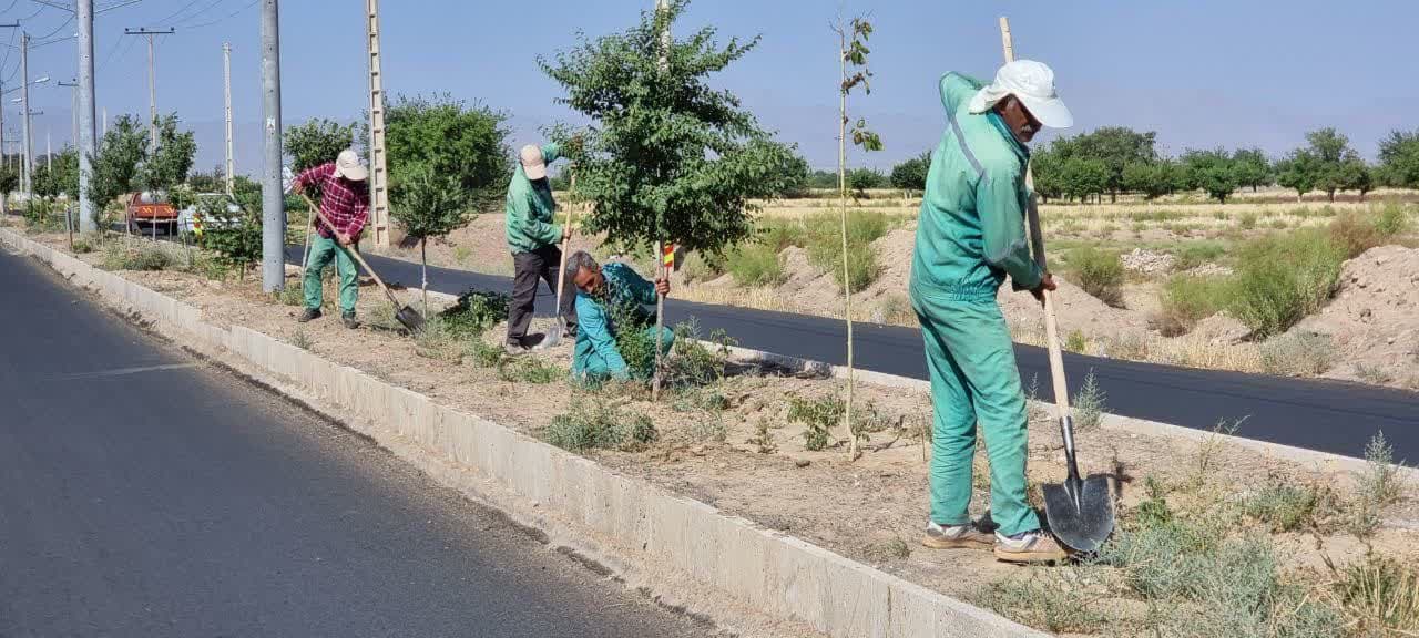 اجرای عملیات به زراعی در بلوار قصبه