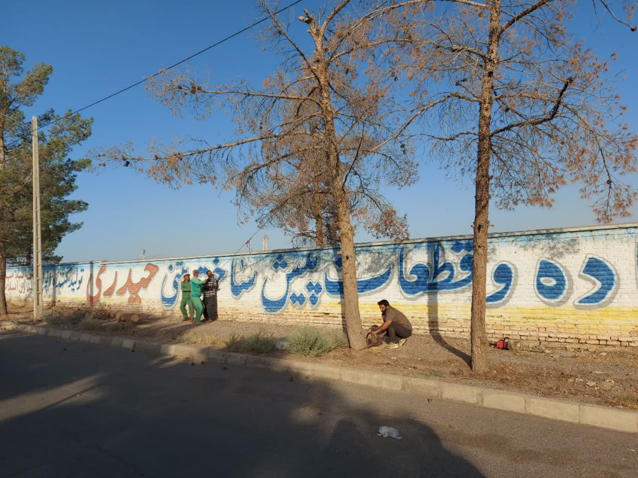  حذف درختان خشک از سطح شهر 