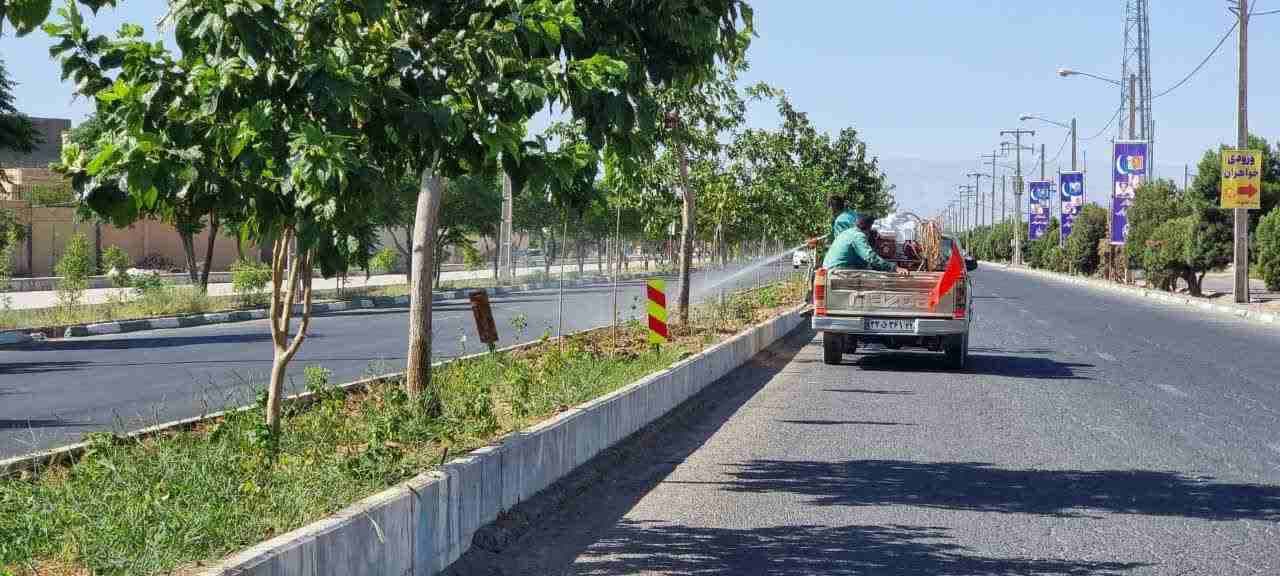 ادامه عملیات مبارزه و کنترل آفات و بیماری های گیاهان
