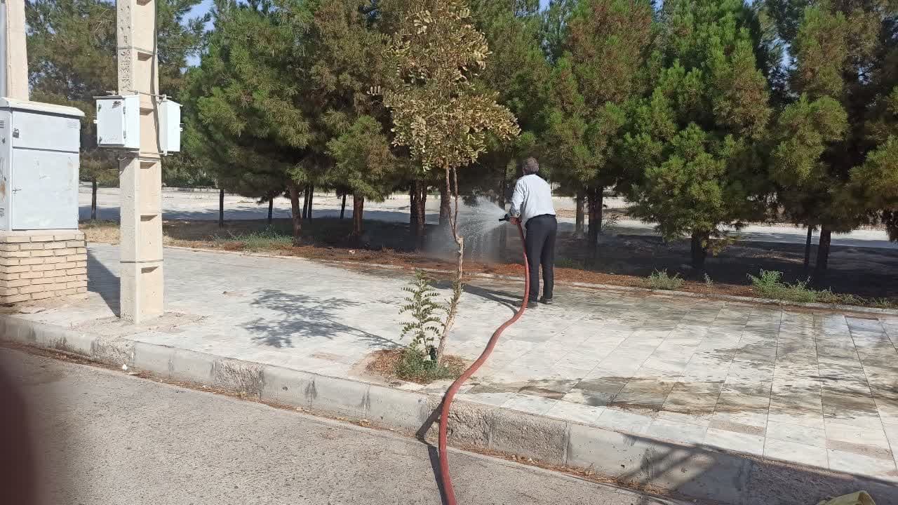 حریق در بوستان دانشگاه مهار شد