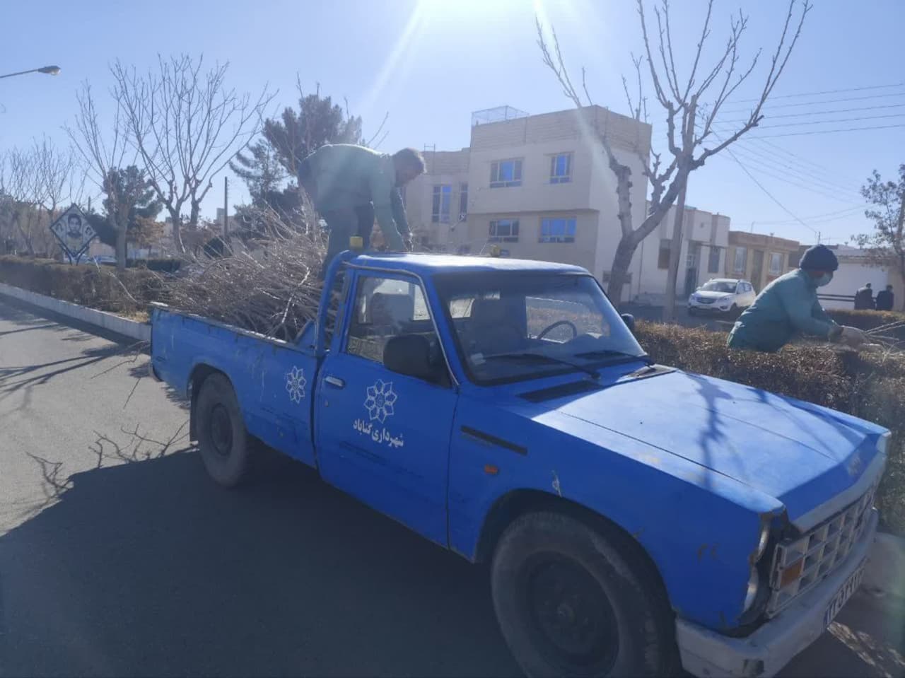 هرسِ درختانِ بلوارشهدا به پایان رسید