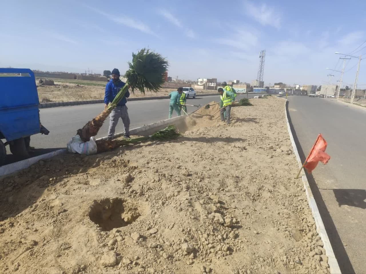  کاشت درختچه پالم در بلوار پرستار 