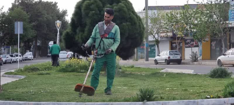 ادامه عملیات باغبانی در سطح شهر 
