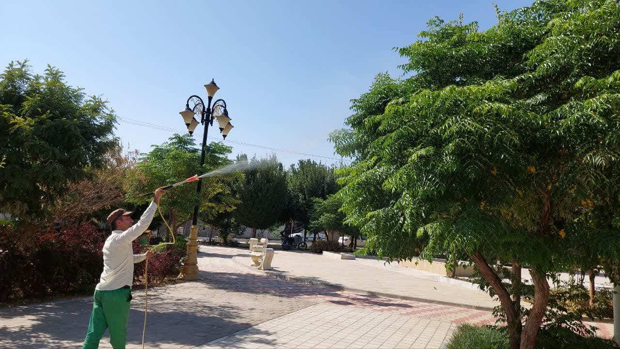 سمپاشی بوستان‌ها و فضای سبز بلوارها برای مقابله با آفات در فصل گرما انجام شد