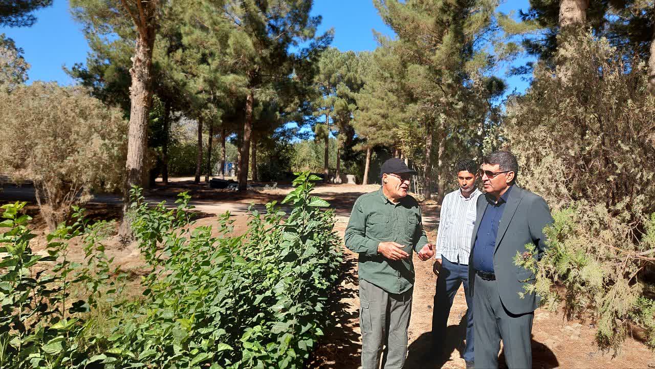 شهردار گناباد از نهالستان اداره منابع طبیعی در روستای قوژد بازدید کرد