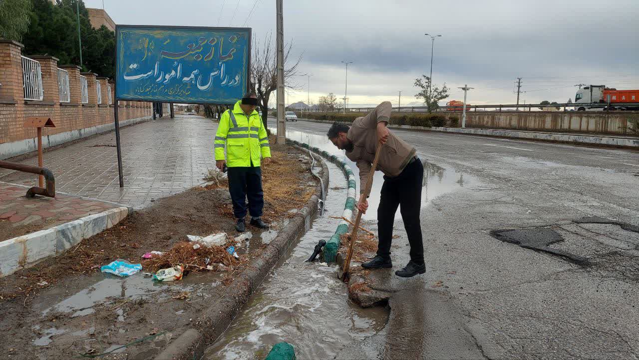 هیچ گونه آبگرفتگی خاصی در سطح شهر نداشته ایم | سقوط یک اصله درخت